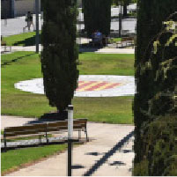 Activa Tu Futuro en la UPV