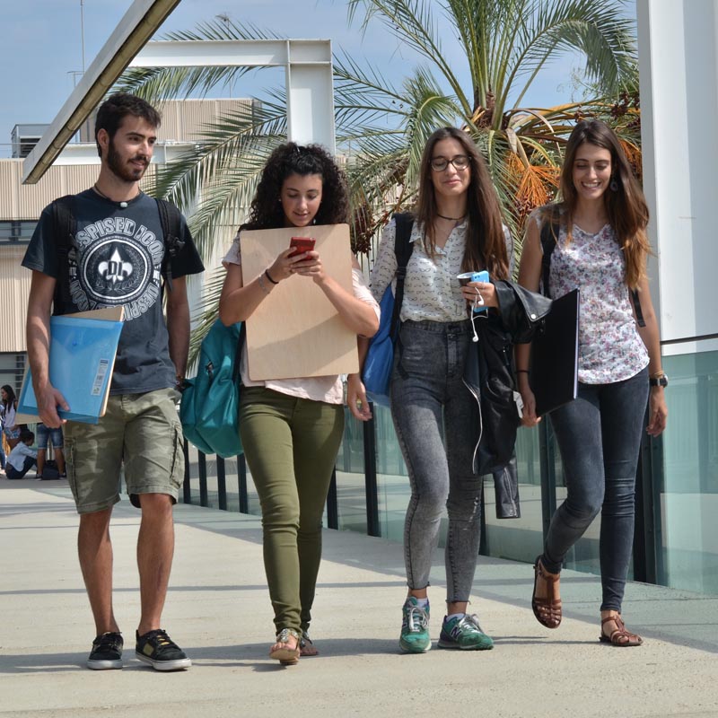 Másteres y diplomas UPV